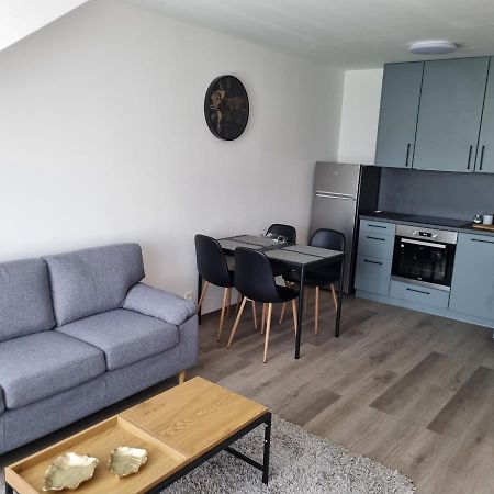 Cerna Ruze- Apartman 5 Pilsen Exterior foto