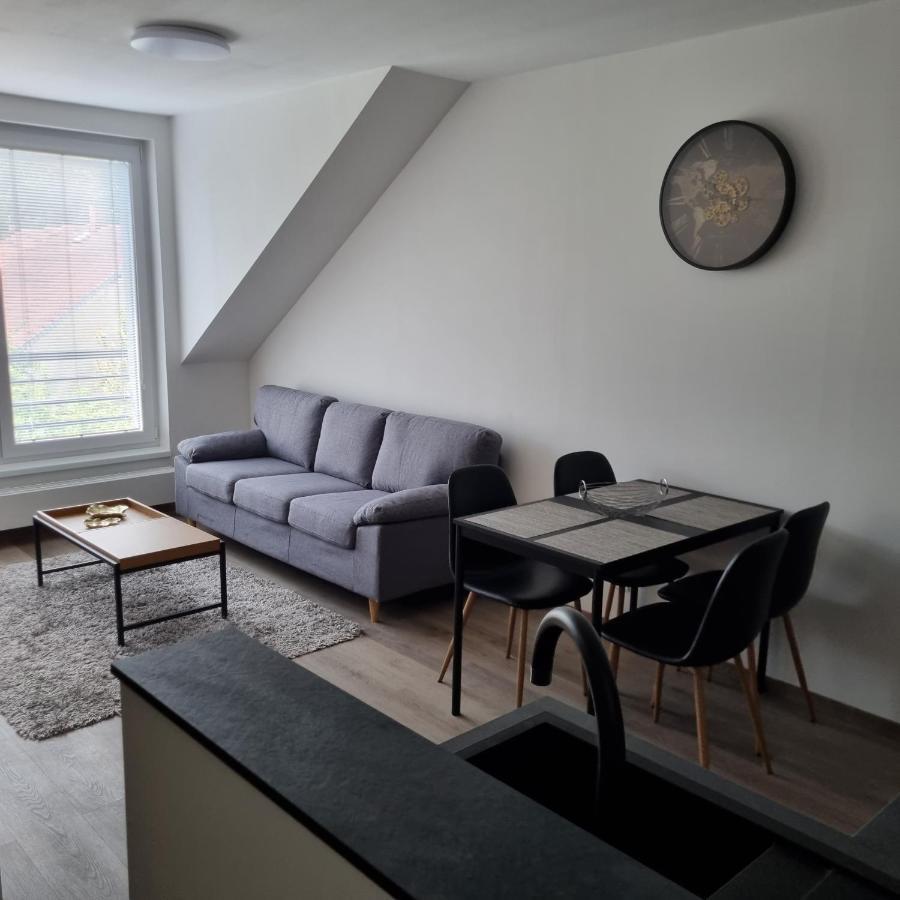 Cerna Ruze- Apartman 5 Pilsen Exterior foto