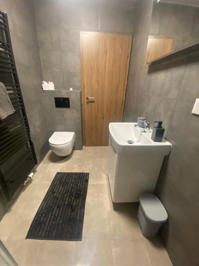Cerna Ruze- Apartman 5 Pilsen Exterior foto