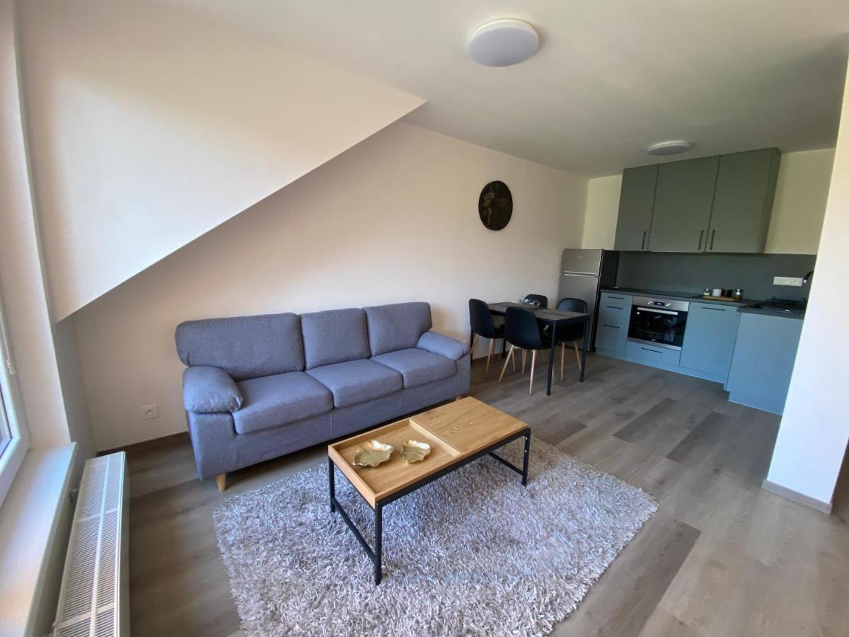 Cerna Ruze- Apartman 5 Pilsen Exterior foto