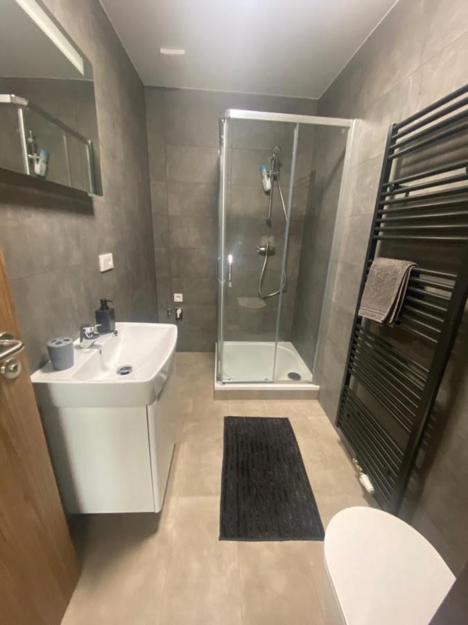 Cerna Ruze- Apartman 5 Pilsen Exterior foto
