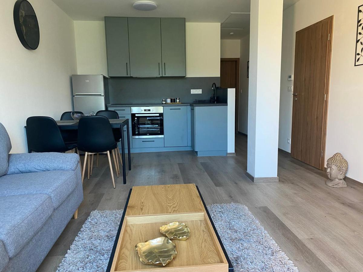 Cerna Ruze- Apartman 5 Pilsen Exterior foto