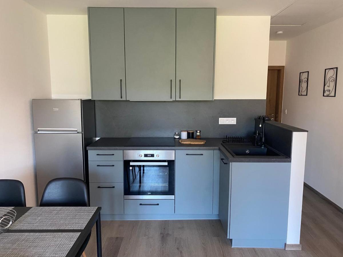 Cerna Ruze- Apartman 5 Pilsen Exterior foto