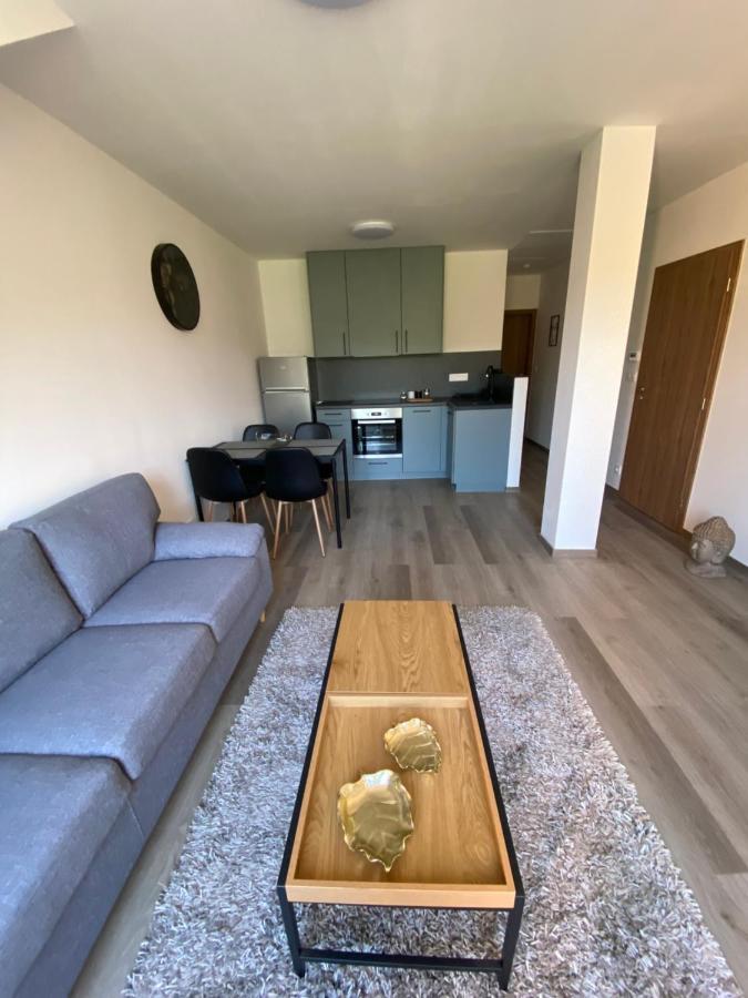 Cerna Ruze- Apartman 5 Pilsen Exterior foto