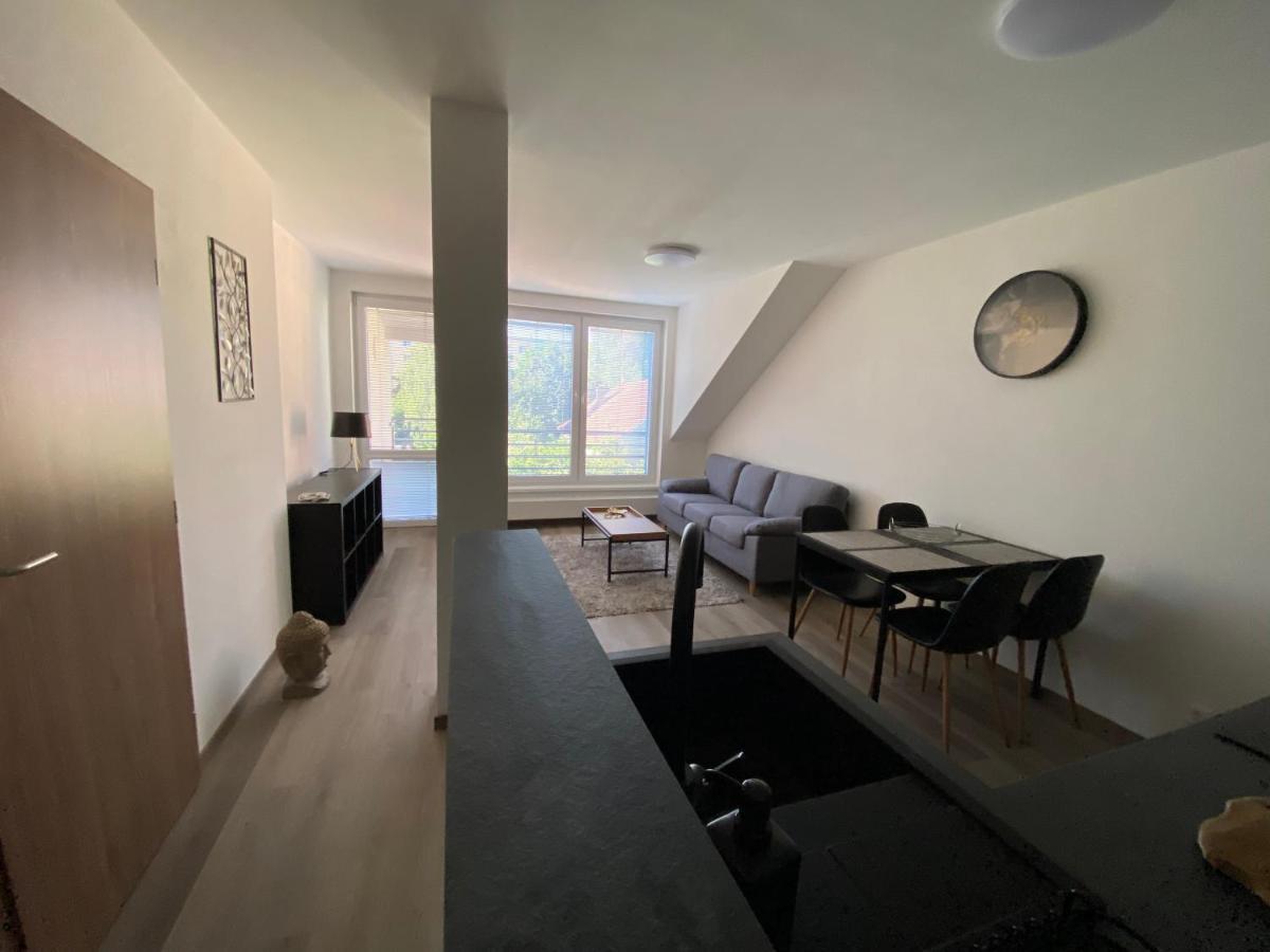 Cerna Ruze- Apartman 5 Pilsen Exterior foto